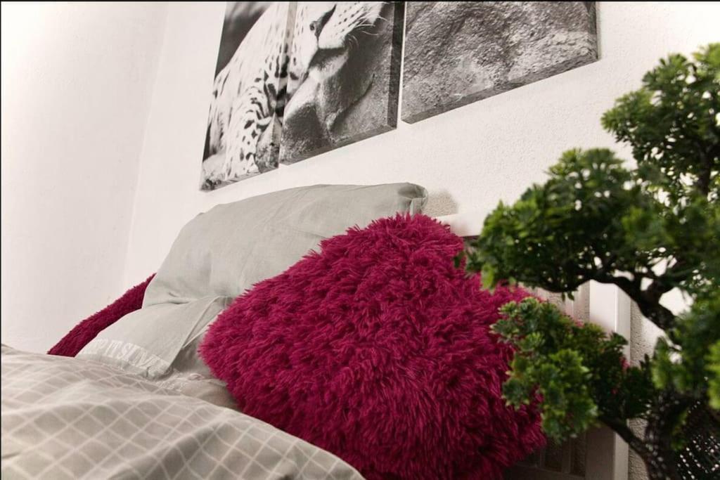 Modern Holiday Home Near Rheinfall And Black Forest Weisweil  Exteriér fotografie